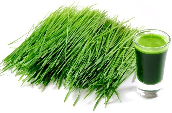 Benefits of barley grass juice