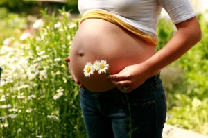 Herbs during pregnancy