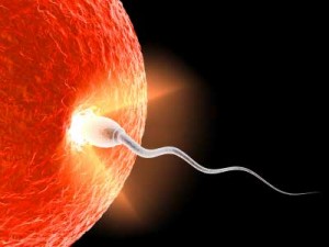 Infertility in Ayurveda
