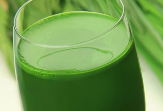 Barley grass health benefits